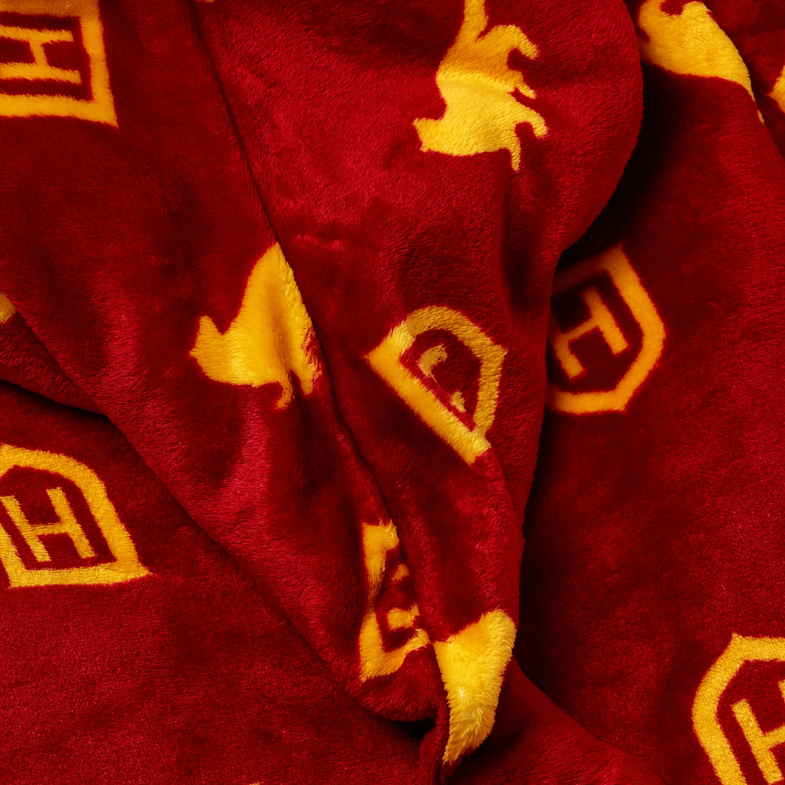 Harry Potter Fleece Hoodie Blanket